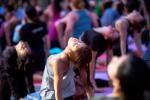 Narendra Modi, Power of Yoga, historic national mall to host first international day of yoga, Curtain raiser