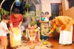 details of tulsi pooja., holy plant tulsi, tulsi puja, Holy plant tulsi