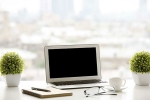 ecology, ecology, a plant in your office can help in preventing sick days says experts, Work place