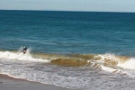 Indian-origin, Aakansha Pande, indian origin world bank senior economist drowns at bali beach, Bali beach