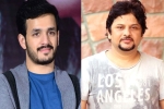 Akhil Akkineni new project, Akhil Akkineni fifth film, akhil akkineni and surendar reddy joins hands, Coronavirus lockdown