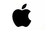 apple store, Apple, this is how much the apple app store earned in 2020, Apple inc
