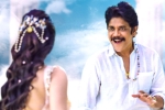 Bangarraju latest updates, Nagarjuna, bangarraju release date locked, Akkineni nagarjuna Bangarraju latest updates, Nagarjuna, bangarraju release date locked, Akkineni nagarjuna