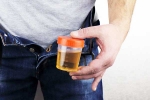 Hidden Kidney Cancer Risks, Hidden Kidney Cancer Risks new updates, spotting blood in urine can reveal hidden kidney cancer risks, Hidden