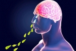 Primary Amoebic Meningoencephalitis breaking, Primary Amoebic Meningoencephalitis news, brain eating amoeba in kerala why and how it spreads, Girl