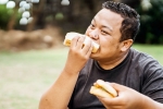 Bread for weightloss latest breaking, Bread, will bread help in weightloss, 2014