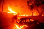 California, California Wildfire news, california declares wildfire emergency, Los angeles