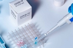 coronavirus, sars-cov-2, studies find the incidence of covid 19 reinfection is low, Monkeys