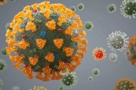 Delta plus severity, Delta plus Coronavirus, all you need to know about the new delta plus variant of coronavirus, Genome