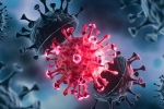 Coronavirus, USA Coronavirus rise, delta variant makes usa tensed again, Pfizer