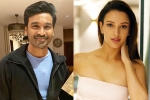 Triptii Dimri next film, Triptii Dimri breaking updates, dhanush to romance animal actress triptii dimri, Comedy