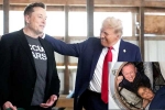 Donald Trump and Elon Musk breaking, Elon Musk, donald trump seeks elon musk s help, Sunita williams