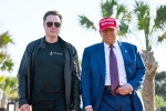 Elon Musk news, Donald Trump about Elon Musk, donald trump finally addresses rumors about elon musk, Gold