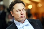 Elon Musk India visit dates, Elon Musk India visit breaking, elon musk s india visit delayed, Goa