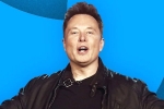 Elon Musk layoffs, Elon Musk breaking news, elon musk s new ultimatum to twitter staffers, Tesla