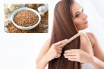 Flaxseeds, Flaxseeds health benefits, how flaxseeds can help for a long and healthy hair, Health benefits