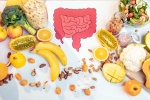Gut Health doctors, Gut Health latest, how to maintain good gut health, Seasons
