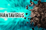 Hantavirus reasons, Hantavirus country, hantavirus has 38 strains and 1 spread to humans, Ntr