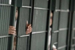 Indians in US, asylum, over 2 300 indians in u s jails for illegal crossing of border report, Greener pastures