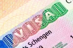 Schengen visa for Indians new visa, Schengen visa for Indians rules, indians can now get five year multi entry schengen visa, Work