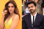 Vijay, Kriti Sanon next film, kriti sanon to romance vijay in his next, Kadi