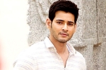 Spyder, Mahesh Babu latest, mahesh babu to take a long break, Bharat anu nenu