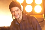Mahesh Babu, Sara Ali Khan, mahesh babu getting bollywood beauty for his next, Sarileru neekevvaru