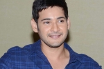 Mahesh Babu latest, Koratala Siva, mahesh babu s next updates, Bharat anu nenu
