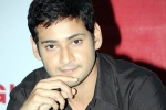 Mahesh Babu, Mahesh Babu latest, mahesh reveals his next projects, Newyear