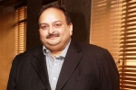 mehul choksi wife, mehul choksi wife, mehul choksi surrenders his indian passport to antigua authorities, Pnb