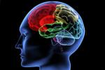 Alzheimer disease, Brain: Use it or lose it, brain use it or lose it, Npt
