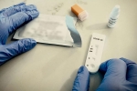Coronavirus, Prototype Vaccine, monkeys get protection against coronavirus through a prototype vaccine, Monkeys