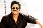 Bangarraju film updates, Bangarraju film news, nag s bangarraju to have a special dancing number, Heaven