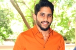 Naga Chaitanya news, Naga Chaitanya, naga chaitanya signs a new flick, Premam Naga Chaitanya news, Naga Chaitanya, naga chaitanya signs a new flick, Premam