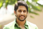 Naga Chaitanya next movie, Naga Chaitanya latest, naga chaitanya signs his next, Savyasachi