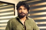 Nagarjuna Personal Rights breaking, Nagarjuna Personal Rights court, delhi high on nagarjuna s personal rights, Aishwarya rai bachchan