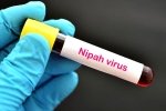 Nipah Virus symptoms, Nipah Virus, nipah virus is back again two deaths registered, Patients