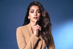 Pooja Hegde lineup, Pooja Hegde, pooja hegde lines up bollywood films, Movies