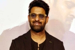 Prabhas Vintage King, Prabhas Vintage King release date, interesting title for prabhas next, New avatar