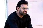 Prabhas25 director, Prabhas25 producer, prabhas to offer a new treat for his fans, Prabhas25