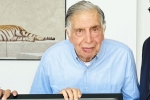 Ratan Tata wealth, Ratan Tata news, indian legend ratan tata is no more, Gandhi