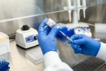 New Ebola Outbreak vaccine news, New Ebola Outbreak breaking updates, russia claims breakthrough vaccine against new ebola outbreak, South africa
