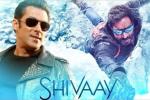Salman Khan latest, Salman Khan latest, salman khan to promote shivaay, Big boss