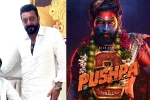 Sanjay Dutt, Sukumar, sanjay dutt s surprise in pushpa the rule, Mythri movie makers