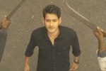 Sarileru Neekevvaru response, Sarileru Neekevvaru, mahesh babu s sarileru neekevvaru trailer review, Ugc
