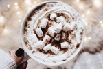 hot drink, sweet, spend christmas this year with the best hot cocoa, Chocolate
