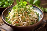 Sprouts, Sprouts health benefits, benefits of adding sprouts to your diet, Healthy digestion