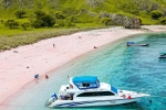 Pink Beach in Indonesia, Pink Beach in Indonesia list, which pink beach should you visit in indonesia, Snacks
