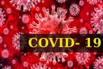 COVID- 19, Coronavirus, who renames the deadly coronavirus as covid 19, Swine flu COVID- 19, Coronavirus, who renames the deadly coronavirus as covid 19, Swine flu