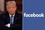 Donald Trump latest, Donald Trump breaking news, facebook bans donald trump for 2 years, Ap public safety